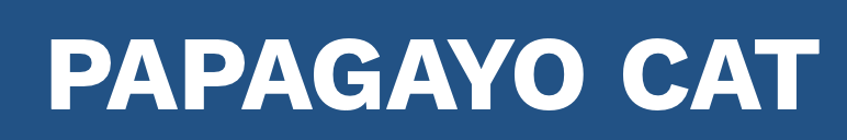 Papagayo Cat