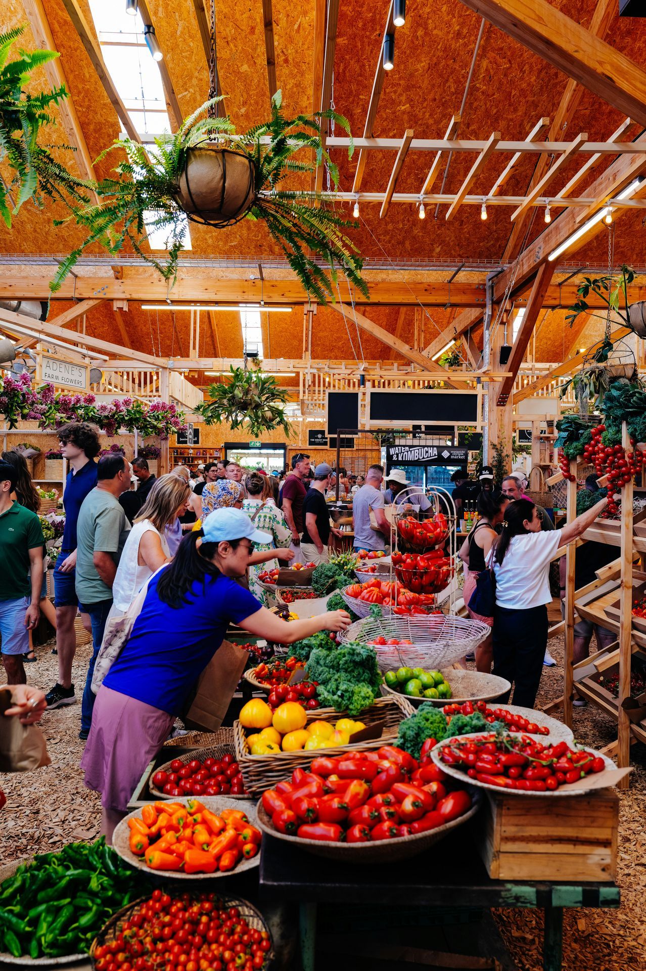 What Local Food to Try in Lanzarote: Cheese, Wine, Mojo and Island Products