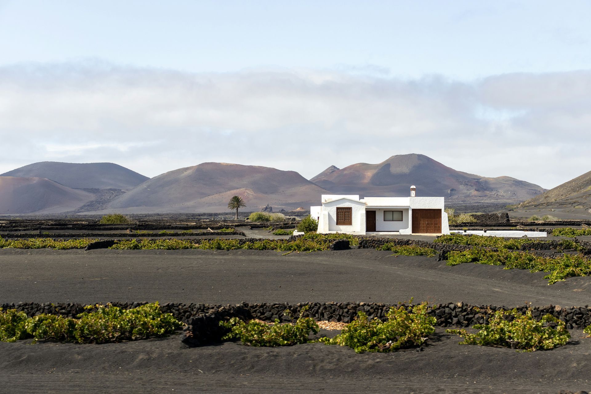 La Geria Lanzarote: What Makes This Volcanic Wine Region So Unique and Is It Worth Visiting?