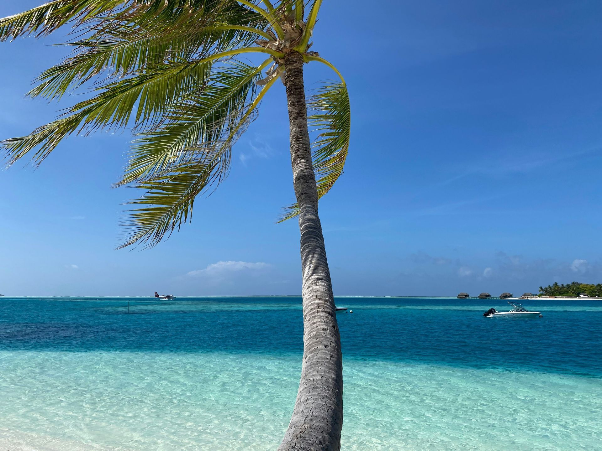 What to Do in Lanzarote When It is Windy: The Best Cultural Plans Right Now