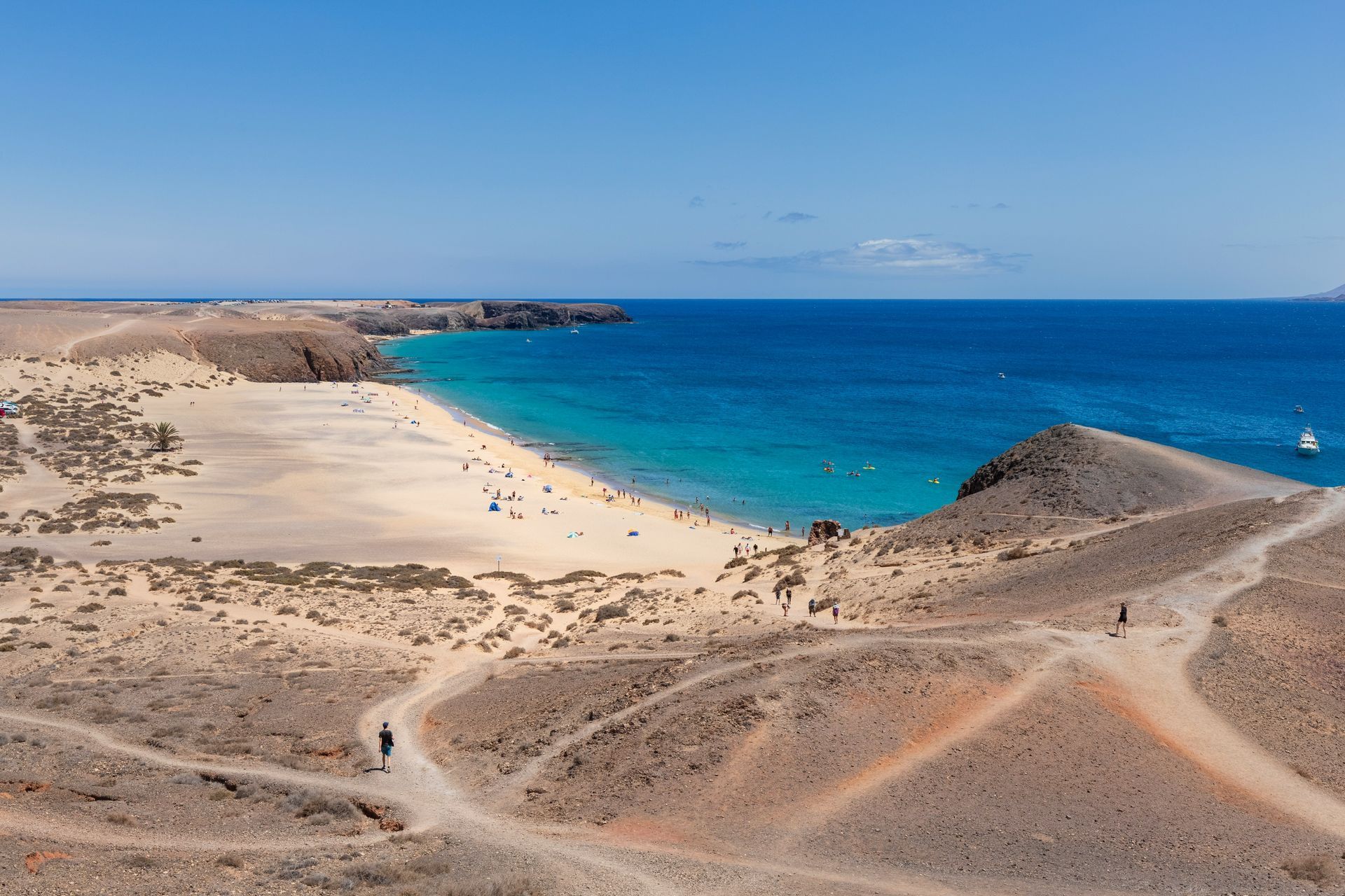 booking picture