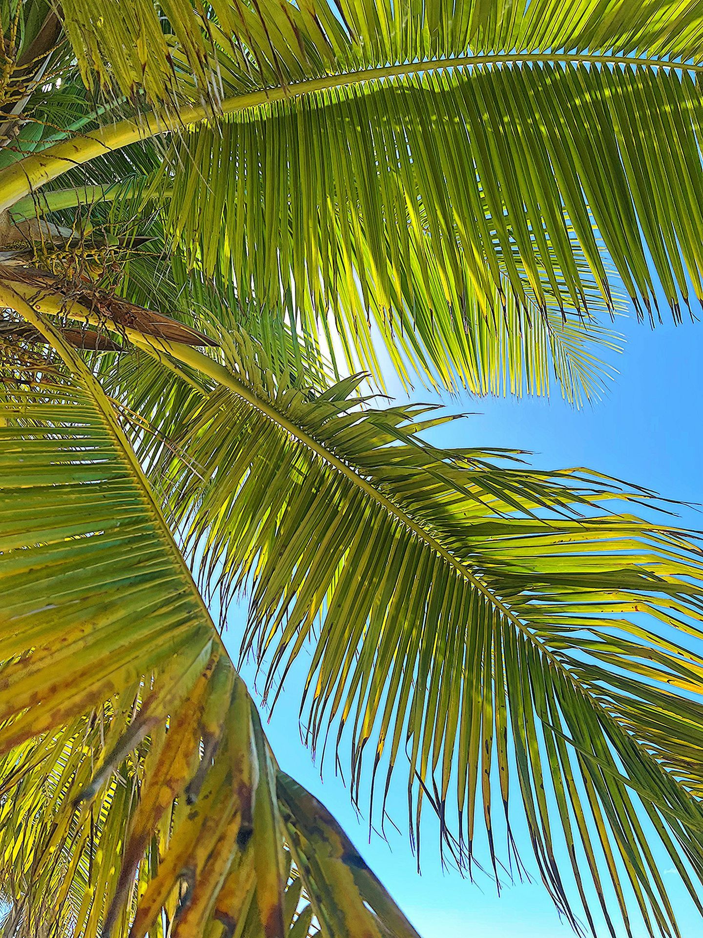 Lanzarote Weather in April: Temperatures, Sunshine & Wind (2026 Guide)